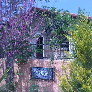 Fig Garden Holiday home